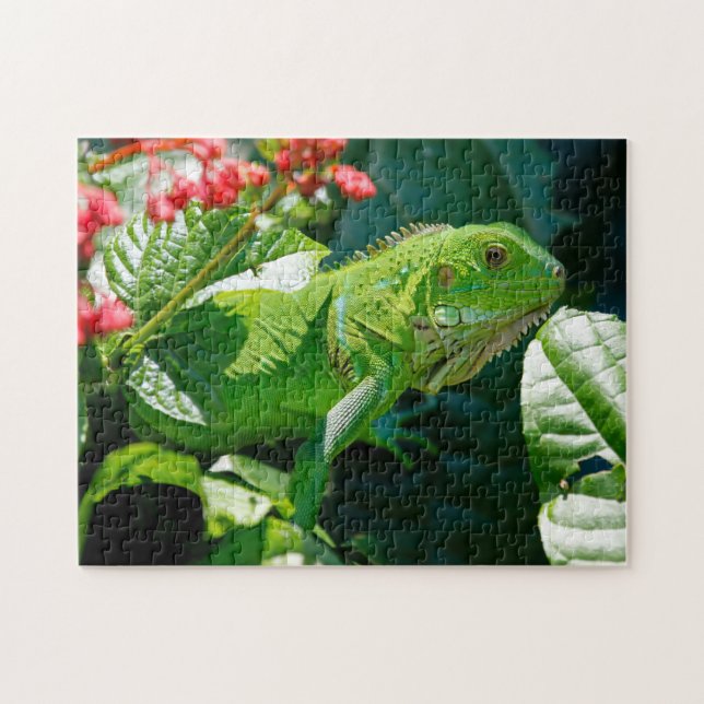 Green Iguana Lizard Puzzle (Horizontal)