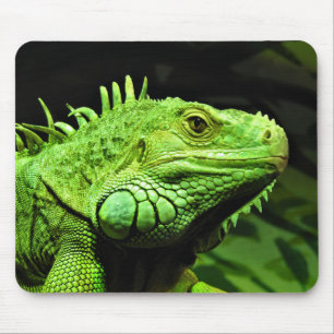 Green Iguana Mousepad