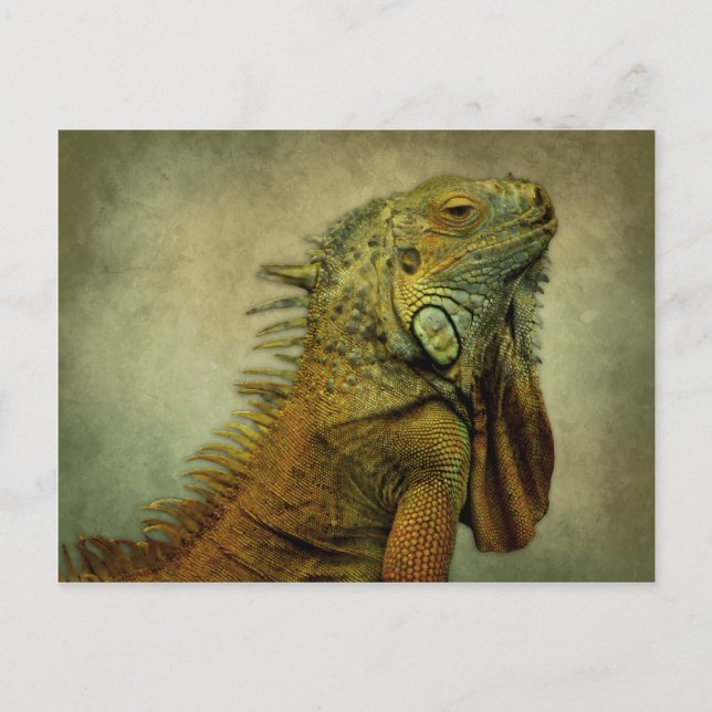 Green Iguana Postkarte (Vorderseite)