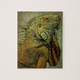 Green Iguana Puzzle