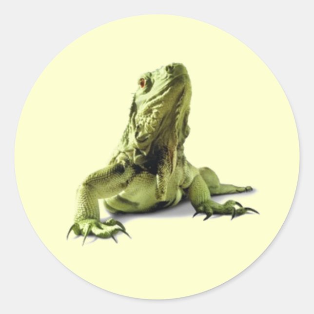 Green Iguana Stickers (Vorderseite)
