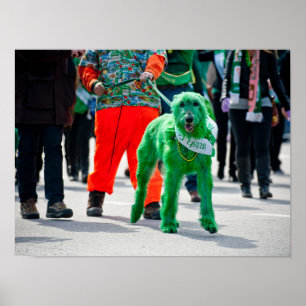 Green Irish Wolfhound Dog St. Patrick's Day Parade Poster