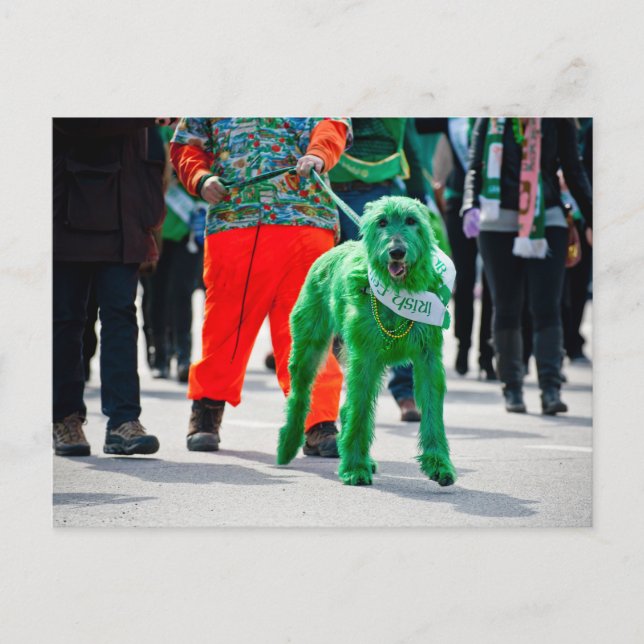 Green Irish Wolfhound Dog St. Patrick's Day Parade Postkarte (Vorderseite)