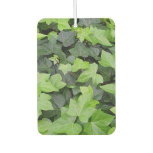 Green Ivy Botanical Print Autolufterfrischer