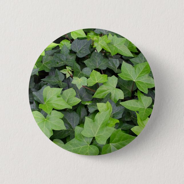 Green Ivy Botanical Print Button (Vorderseite)