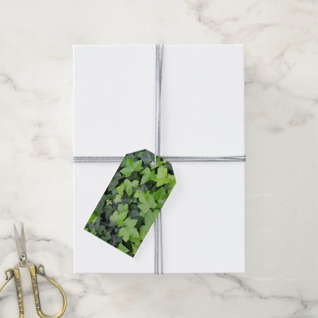 Green Ivy Botanical Print Geschenkanhänger (Mit Garn)