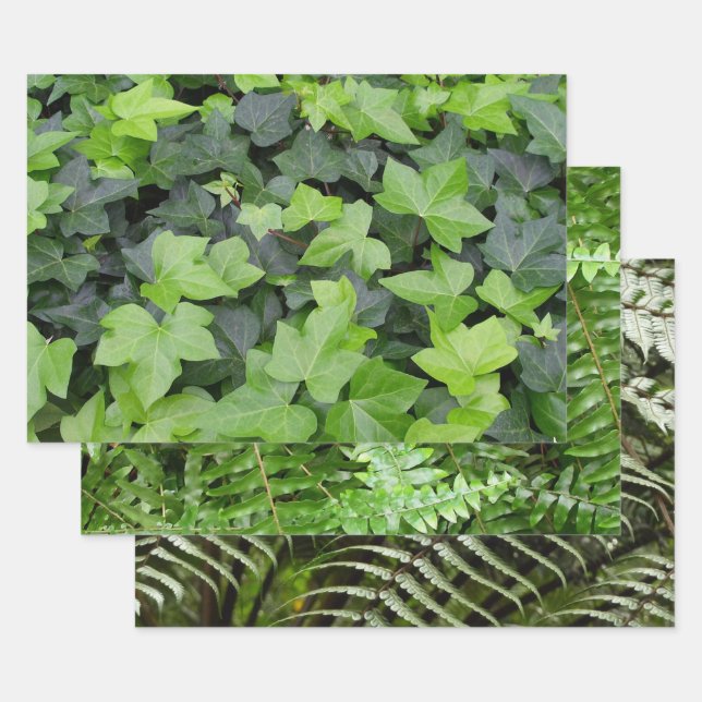 Green Ivy Botanical Print Geschenkpapier Set (Set)