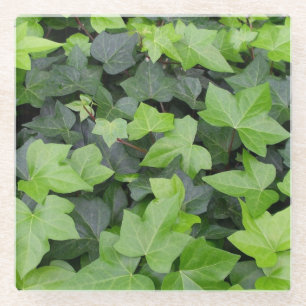 Green Ivy Botanical Print Glasuntersetzer