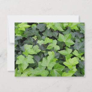 Green Ivy Botanical Print Karte