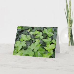 Green Ivy Botanical Print Karte