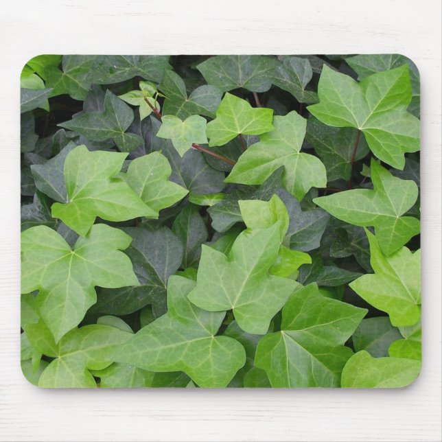 Green Ivy Botanical Print Mousepad (Vorne)