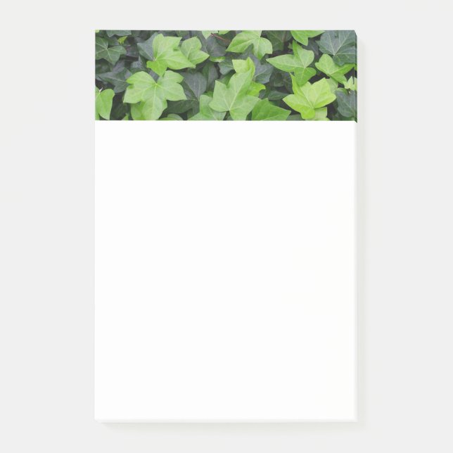 Green Ivy Botanical Print Post-it Klebezettel (Vorderseite)