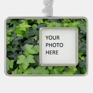 Green Ivy Botanical Print Rahmen-Ornament Silber