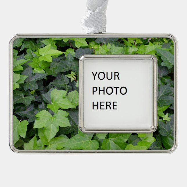Green Ivy Botanical Print Rahmen-Ornament Silber (Vorderseite)