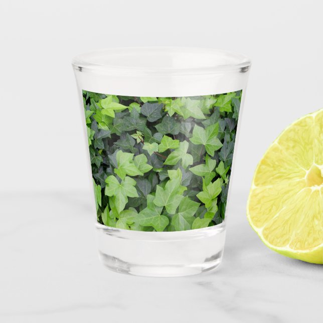 Green Ivy Botanical Print Schnapsglas (Vorderseite)