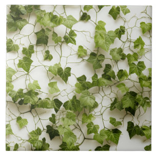 Green Ivy Wall, nahtlose botanische Illustrationen Fliese