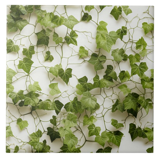 Green Ivy Wall, nahtlose botanische Illustrationen Fliese (Vorderseite)