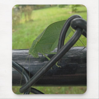 Green Katydid on Black Fence Mousepad