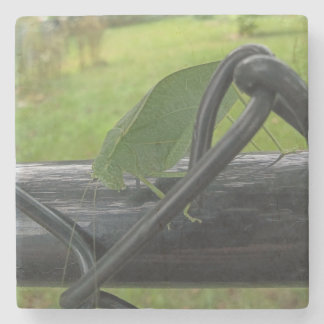 Green Katydid on Black Fence Steinuntersetzer