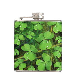 Green Kleeblatt St Patrick's iPhone 5 Case-Mate Flachmann
