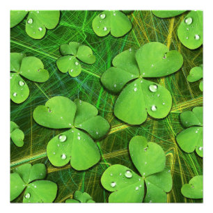 Green Kleeblatt St Patrick's iPhone 5 Case-Mate Fotodruck