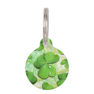 Green Kleeblatt St Patrick's iPhone 5 Case-Mate Haustiermarke