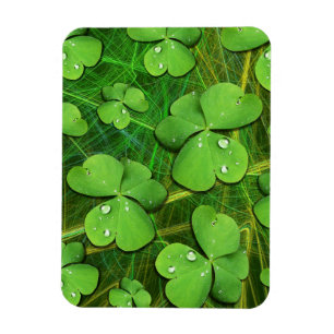 Green Kleeblatt St Patrick's iPhone 5 Case-Mate Magnet