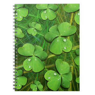 Green Kleeblatt St Patrick's iPhone 5 Case-Mate Notizblock
