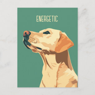 Green Labrador Retriever Postkarte
