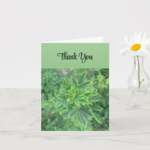 Green Leaf - Danke Karte