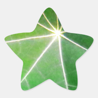 GREEN LEAF Frisches gesundes Geschenk Stern-Aufkleber