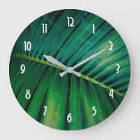 Green Leaf Palm Frontend Closeup Foto