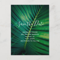 Green Leaf Palm Frontend Closeup Foto Save the Dat
