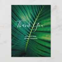 Green Leaf Palm Frontend Closeup Foto Vielen Dank