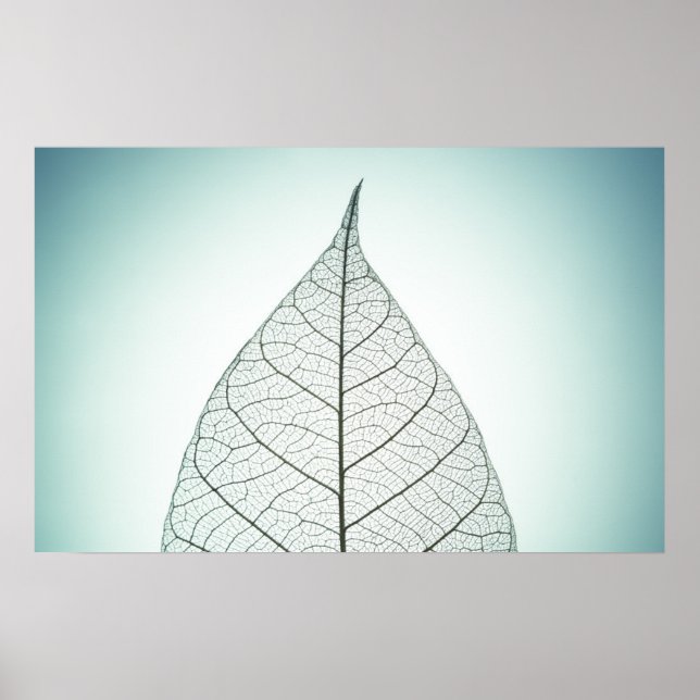 Green Leaf Skeleton Poster (Vorne)