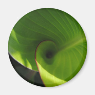 Green Leaf Swirl Magnet