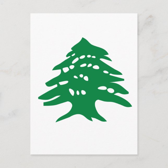 Green Libanon Cedar Postkarte (Vorderseite)