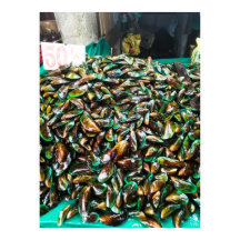 Green Lipped Mussels For Sale