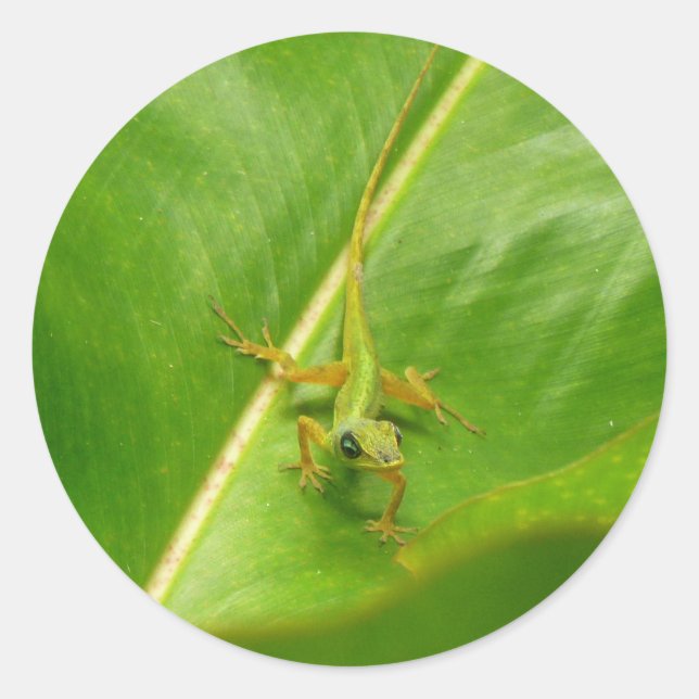 Green Lizard auf grünem Leaf Runder Aufkleber (Vorderseite)