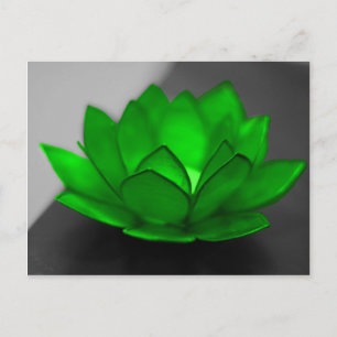 Green Lotus Postkarte