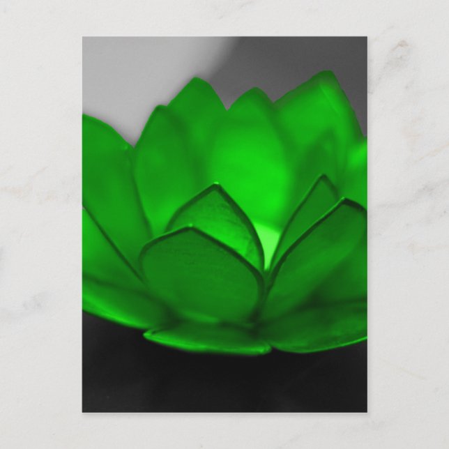 Green Lotus Postkarte (Vorderseite)