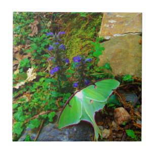 Green Luna Moth Fliese