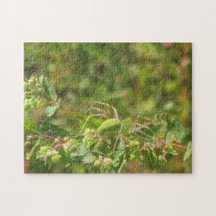 Green Lynx Spider Puzzle
