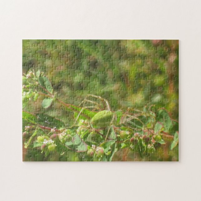 Green Lynx Spider Puzzle (Horizontal)