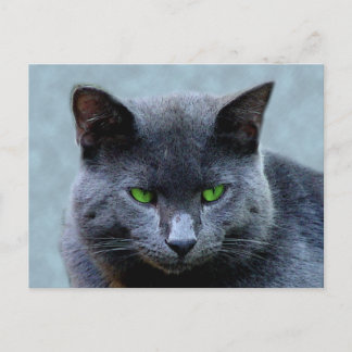 Green Mit Augen Cat Postcard Postkarte