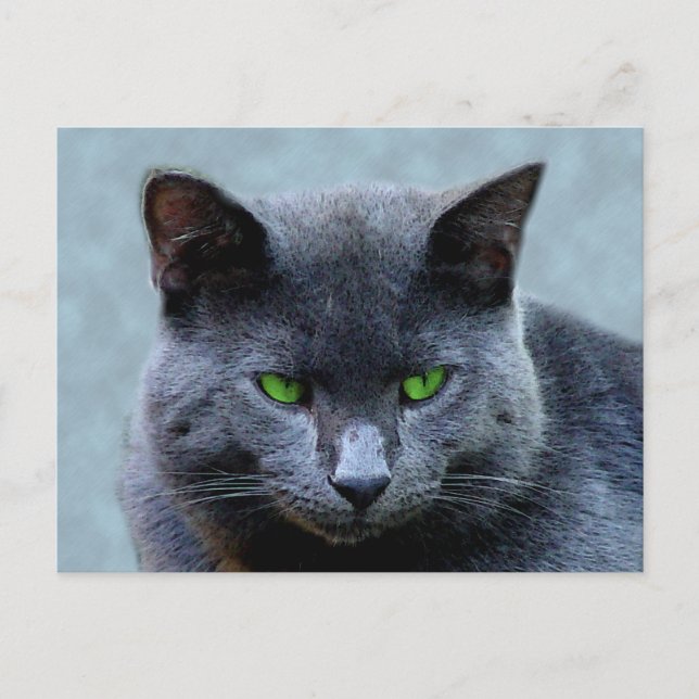 Green Mit Augen Cat Postcard Postkarte (Vorderseite)