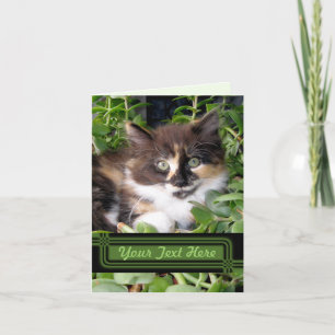 Green Mit Augen Chat Note Card Karte