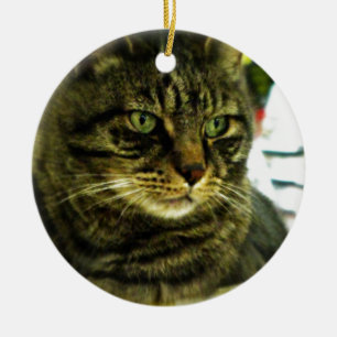 Green Mit Augen Tabby Face Keramikornament