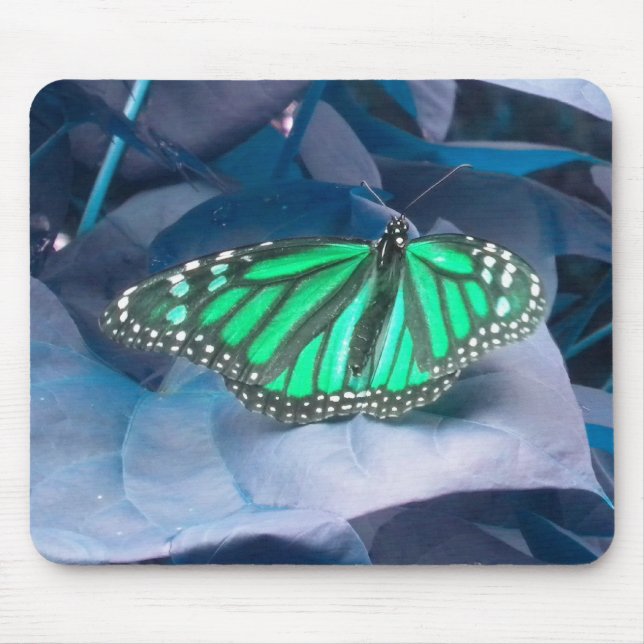 Green Monarch Butterfly-Maus Mousepad (Vorne)