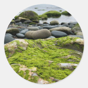 Green Moss Rocks Runder Aufkleber